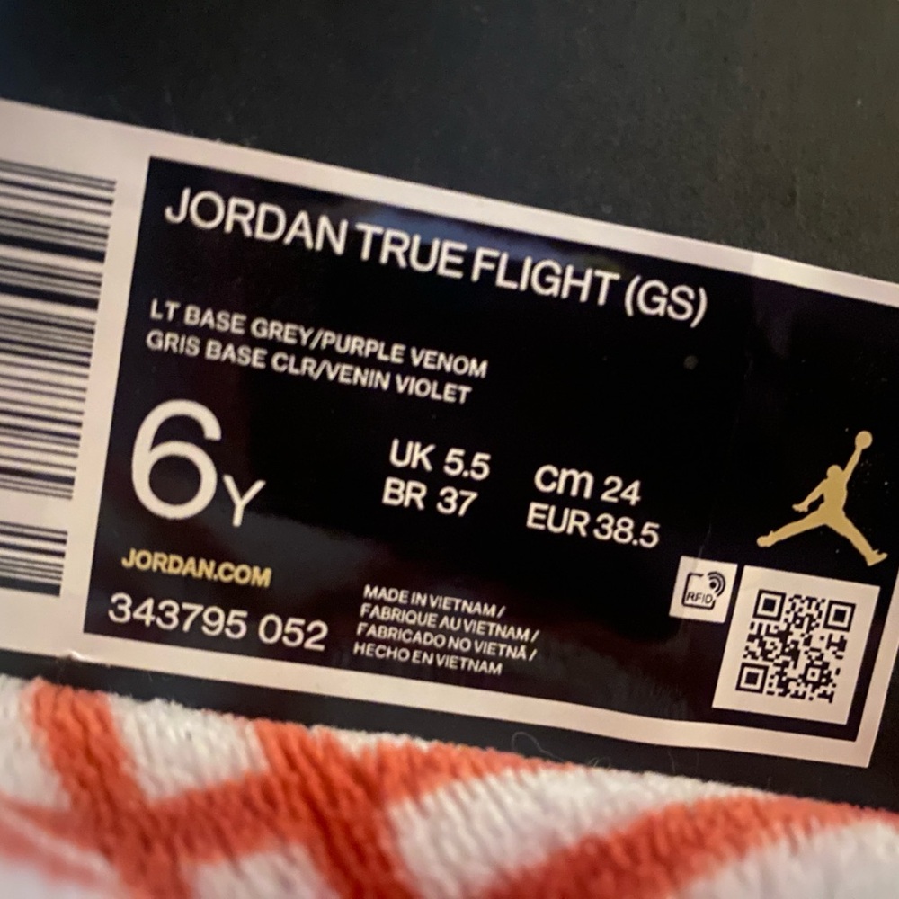 Jordan True Flight (GS)